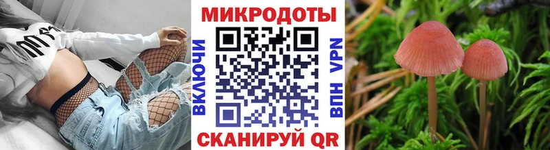 Галлюциногенные грибы Psilocybe Солнечногорск